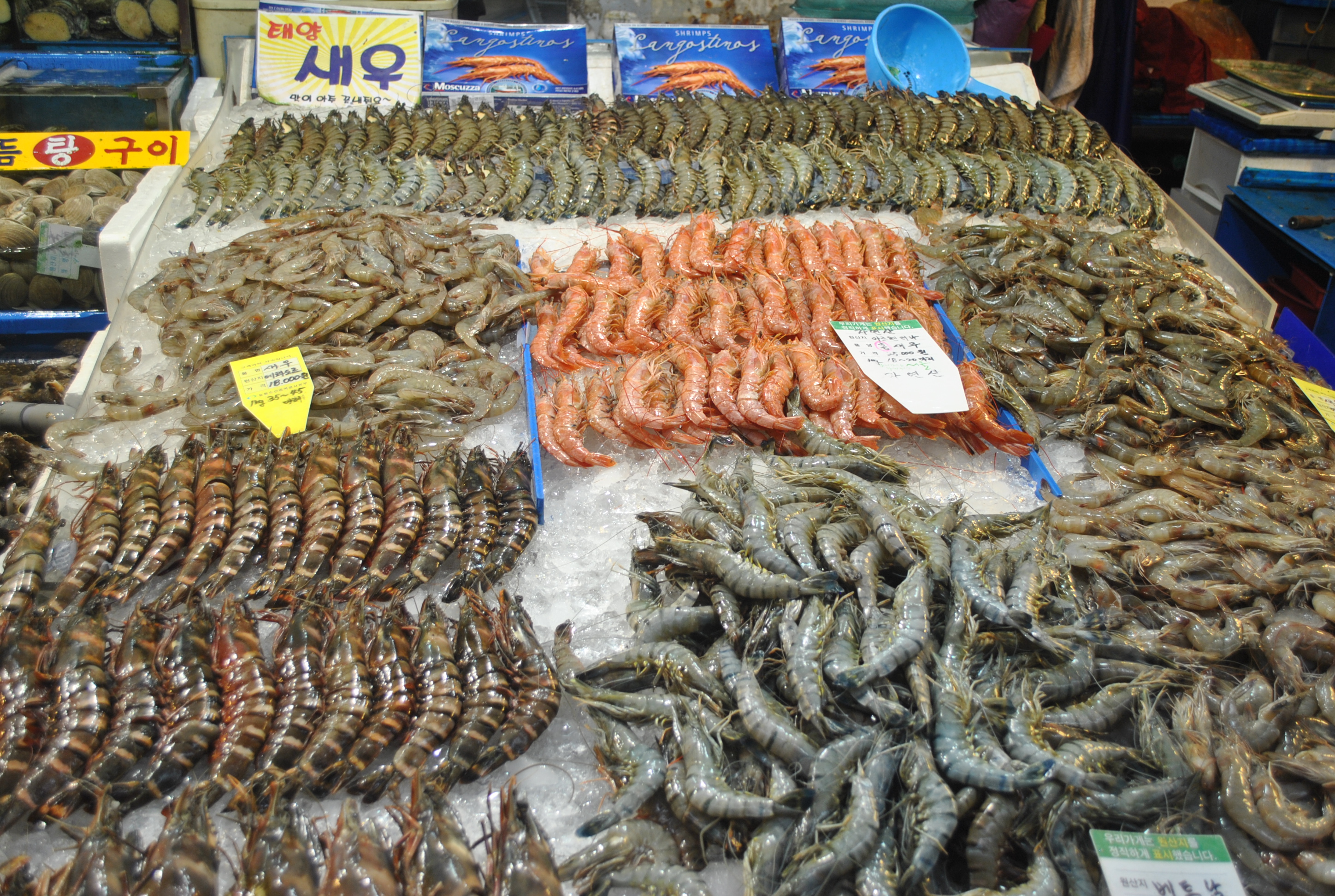 Noryangjin Fish Market Seoul South Korea Marjorierwilliams