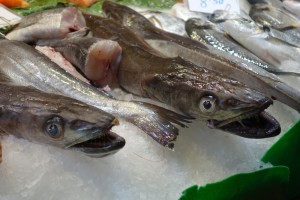 Boqueria market fish selter