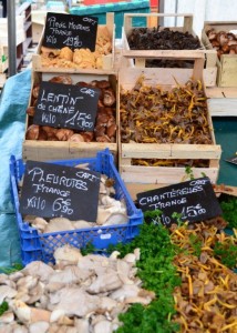 Versailles mushrooms vendor