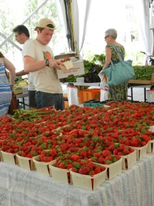 local strawberries Harvard