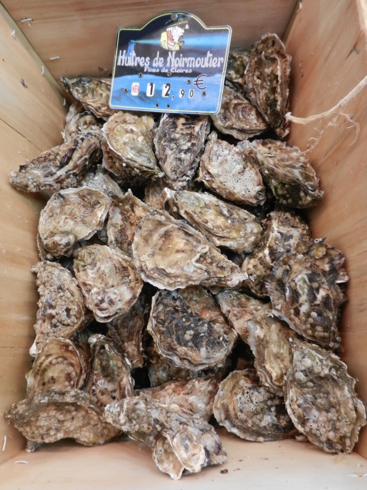 Paris oysters