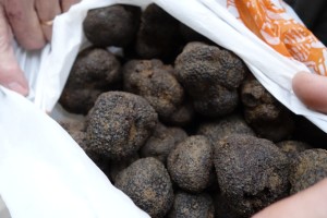 black diamond truffles