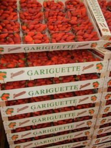 Crates of Gariguette strawberries piled high at Rungis