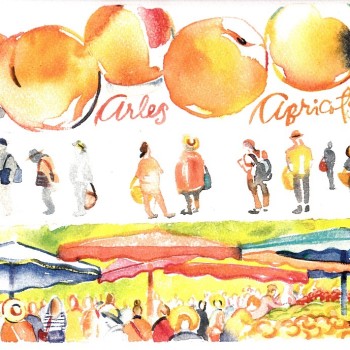 Arles market and apricots by artist Carol Gillott