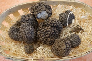 black truffles, aka "black diamonds" 