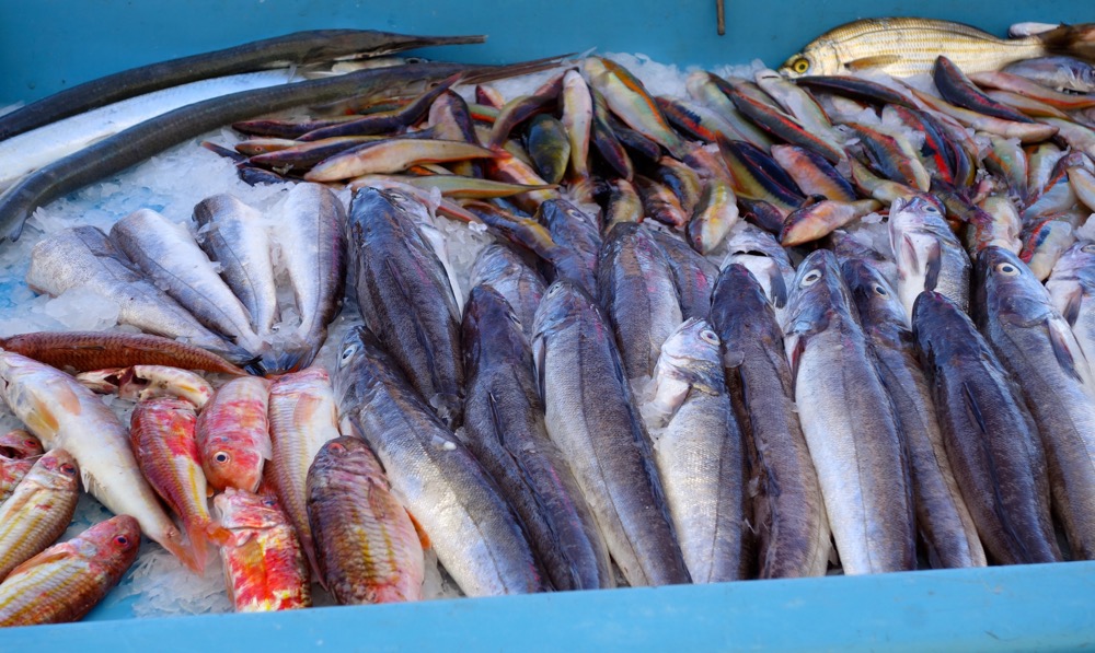 Marseille fish market