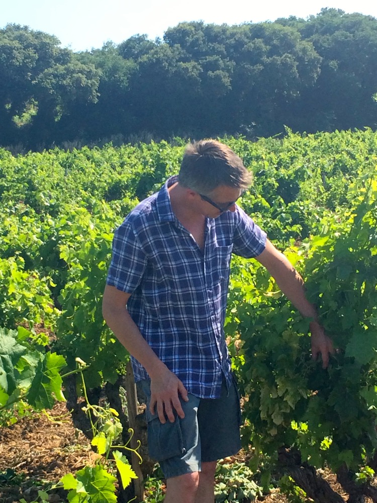 Châteauneuf-du-Pape vineyard with Olivier Hickman