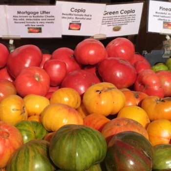 Kimball Fruit Farm tomatos