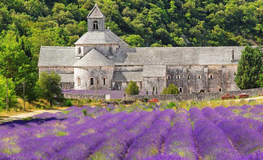 Times Journeys 2018 Trip to Provence